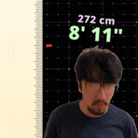 8Ft GIF