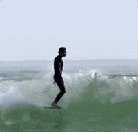Sport Surfing GIF by World Surf League
