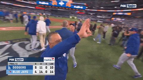 Celebrate World Series GIF by MLB