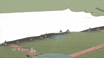 philladelphia phillies GIF by MLB