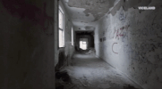 viceland GIF by RISE