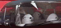 Dance Dj GIF by eggdog