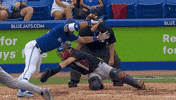 Blue Jays Mlb GIF by Toronto Blue Jays