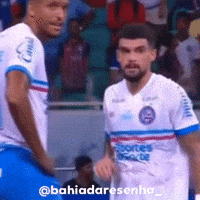 Ecbahia GIF