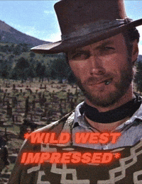 Wild West GIF