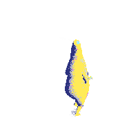 Back And Forth Running Sticker by Amir B Jahanbin