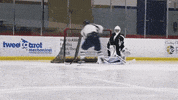 LawrenceUni celebration hockey celly lawrence university GIF