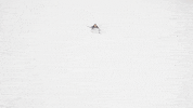 Snow Sledding GIF by Lawrence University