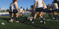 LawrenceUni soccer celebration celly lawrence university GIF
