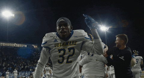 Game Over Football GIF by Delaware Blue Hens