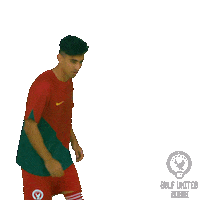 Cristiano Ronaldo Football Sticker by Gulf United FC