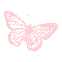 SpiritusNaturae bebe papillon carte étape spiritus naturae Sticker
