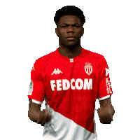Ligue 1 Football Sticker by AS Monaco