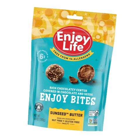 Chocolate Snack Sticker by Enjoy Life Foods