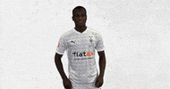 Bmg Diefohlen GIF by Borussia Mönchengladbach