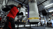 mikey garcia punch GIF by SHOWTIME Sports