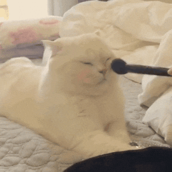 Makeup GIF by MOODMAN