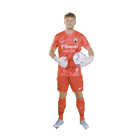 Hugo Sticker by FC Slovan Liberec