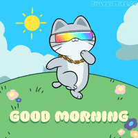 Good Morning Sunshine GIF by Silly Kitties