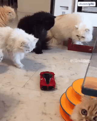GIF by Demic