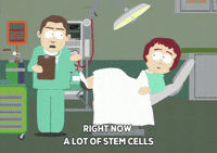 GIF by South Park 