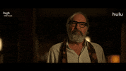 Mandy Patinkin Wtf GIF by HULU