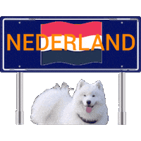 Amsterdam Netherlands Sticker