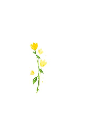 yarasgallery giphyupload flower yellow spring Sticker