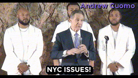 New York Vote GIF by Andrew Cuomo