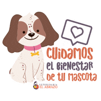 veterinaria_el_abrazo pet mascota veterinaria petlove Sticker