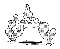 scared squid GIF by Khylin