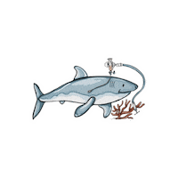 Shark Dino Sticker by Freearm Tube Feeding Assistant