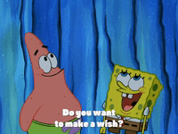 season 4 GIF by SpongeBob SquarePants