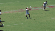Can'T Touch This Mc Hammer GIF by Rugby World Cup