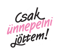 lagzifeszt magyar hungarian csak lagzi Sticker