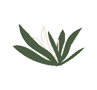 teduhco green pretty plants minimal Sticker