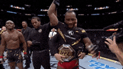 Mixed Martial Arts Sport GIF by UFC