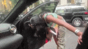Drunk Brunch GIF