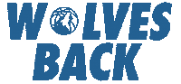 Basketball Nba Sticker by Minnesota Timberwolves