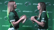 Softball GIF by RiverHawk Sports