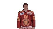 Scltigers Swipe Up Sticker by scl_tigers_official