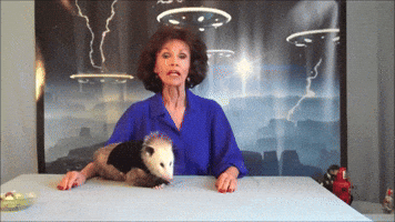 Best of Opossum Lady