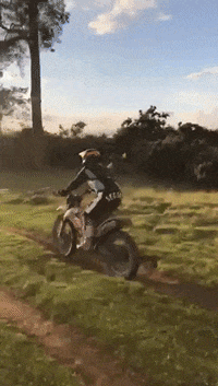 vclondon  GIF