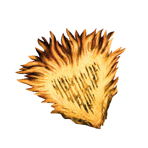 compassboxwhiskyco giphyupload fire flames whisky Sticker