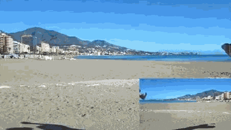 hya GIF