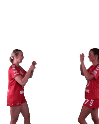 Wilhelmshaven Celebrating Sticker by whvhandball