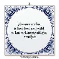 Humor Wijsheid GIF by Tegelspreuken.nl