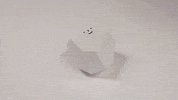Loop Satisfying GIF