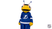 Watching You Tampa Bay Lightning GIF by NHL