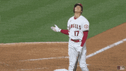 Oh No Sport GIF by MLB
